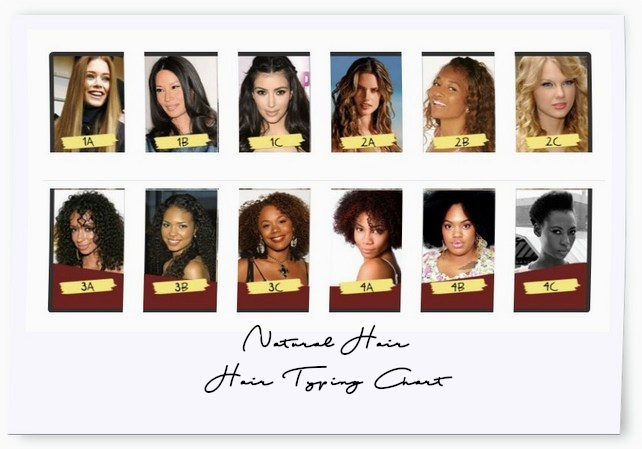 Natural Hair Hair typing chart